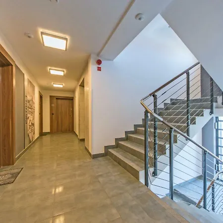 Comfort 6 *